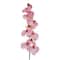 37" Pink Orchid Stem by Ashland®